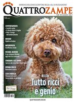 Quattrozampe